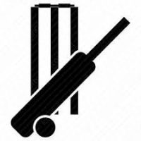 Cricket Betting Icon
