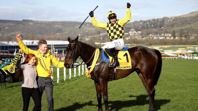 Al Boum Photo is a two-time Gold Cup winner, Cheltenham results reveal