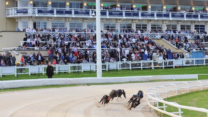 Greyhound Derby betting