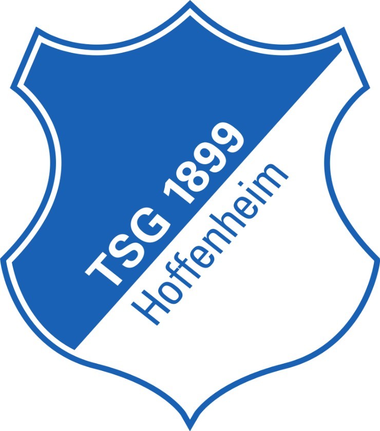 1899 hoffenheim logo