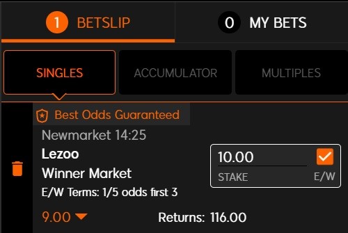 An each way bet alongside the horse racing NAP of the day for 24 September 2022 is Lezoo