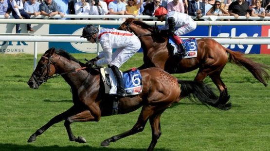 Hamish is the horse racing NAP of the Day for 1 October 2022 at Ascot