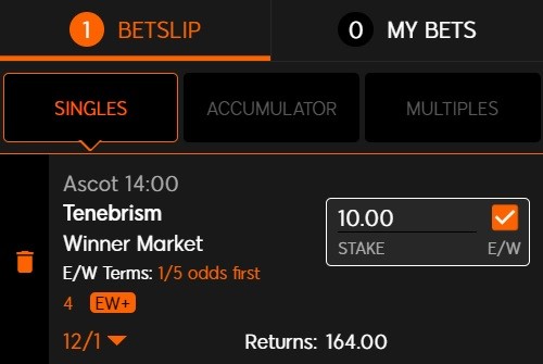 An each way bet alongside our horse racing NAP of the day for 15 October is 2022 Tenebrism