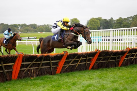 Nina The Terrier is our horse racing NAP of the Day for 7 October 2022