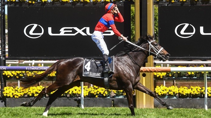 Verry Elleegant defied big odds in the Melbourne Cup betting to win
