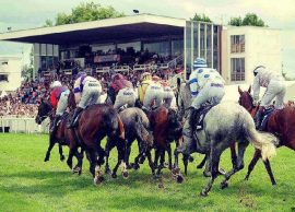 Worcester races