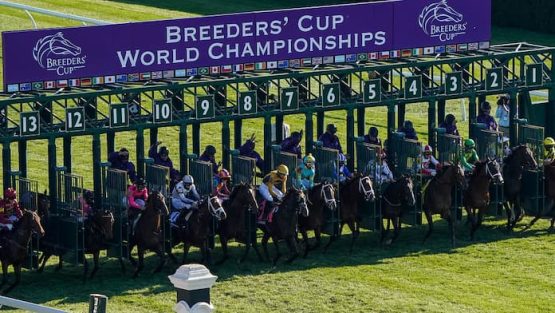 BREEDERS CUP 2