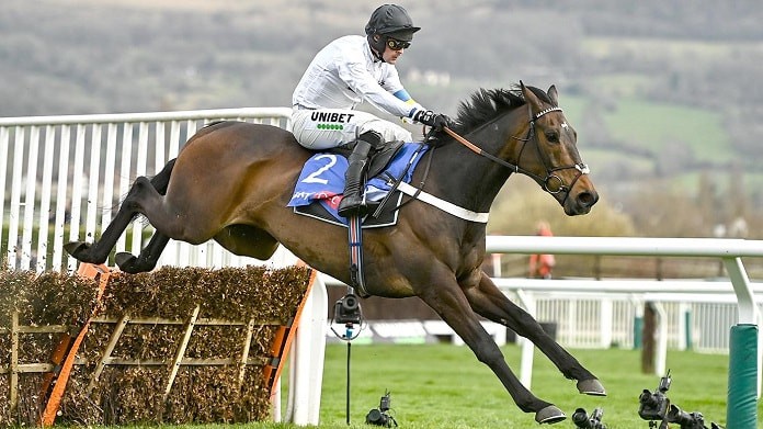 Constitution Hill is one of the Fighting Fifth Hurdle 2022 entries at Newcastle