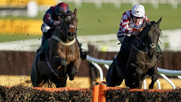 Datsalrightgino is our horse racing NAP of the Day for 2 November 2022