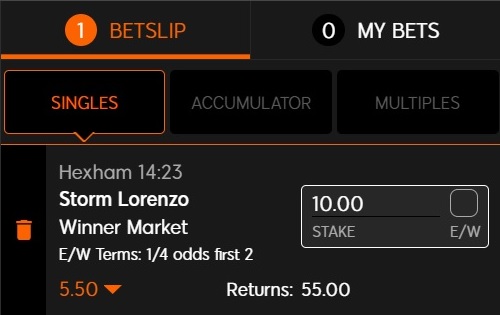 NB to our horse racing NAP of the day for 16 November 2022 is Storm Lorenzo