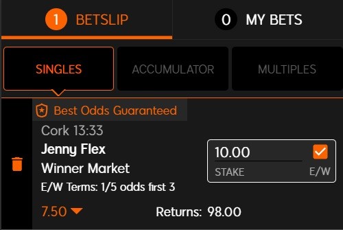 An each way bet to consider alongside our horse racing NAP of the day for 6 November 2022 is Jenny Flex
