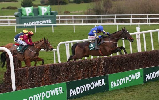 paddy power gold cup