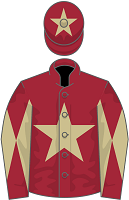 Bradley Partnership silks