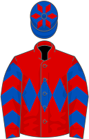 David McDermott silks