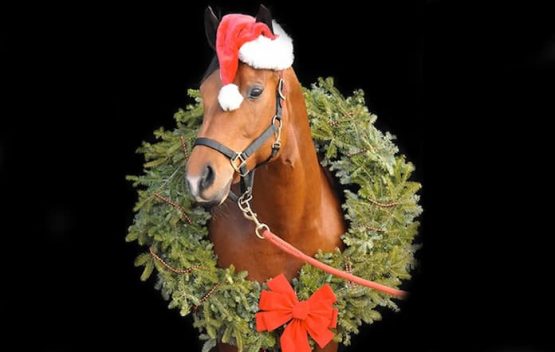 christmas horse