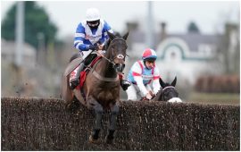 Frodon