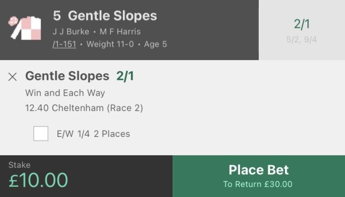 Gentle Slopes betslip horse racing tips today