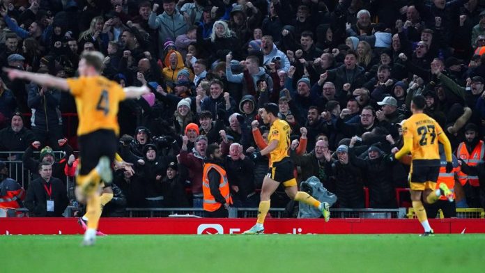 Wolves celebrate