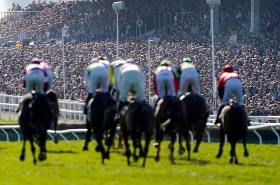 cheltenham festival new