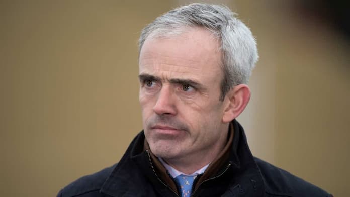 Ruby Walsh new