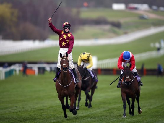 Rhino Bet Cheltenham Sign-Up Offer