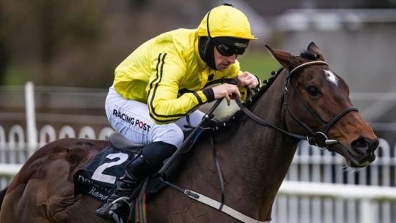 Billaway Hunters Chase Odds Cheltenham Horse Racing 1