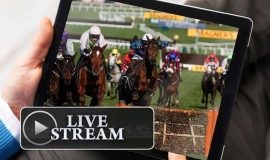 York Ebor Festival Live Streaming