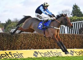 Edwardstone Champion Chase Odds Horse Racing Cheltenham