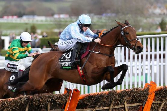 Honeysuckle Mares Hurdle Odds Cheltenham Horse Racing