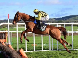 State Man Champion Hurdle Odds Cheltenham Horse Racing