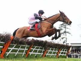 Teahupoo Stayers Hurdle Odds Cheltenham Horse Racing 1