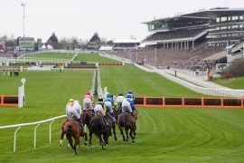 cheltenham Festival