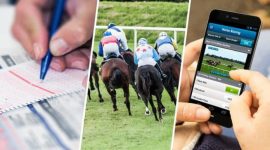 How To Watch Tingle Creek