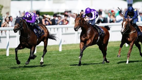 Little Big Bear was one of the beaten Royal Ascot favourites this year