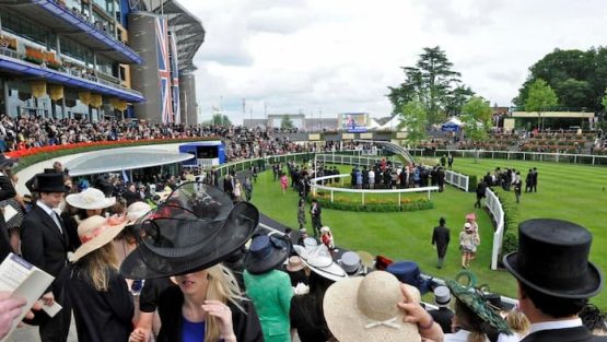 royal ascot new2