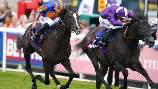 Auguste Rodin and King Of Steel are King George runners this year