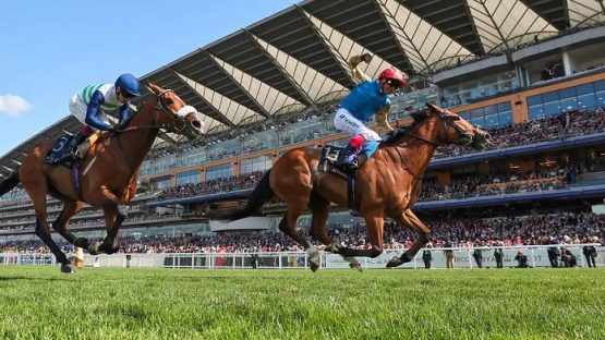 Courage Mon Ami and Coltrane are Goodwood Cup runners this year