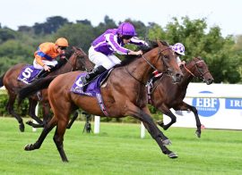 Tower Of London is among Bahrain Trophy runners this year