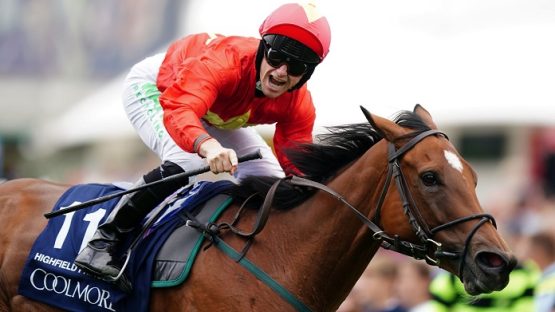 Highfield Princess is back at York and among Nunthorpe Stakes runners again this year