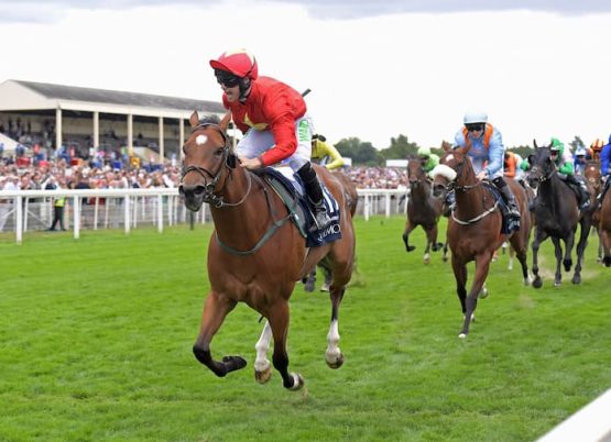 Highfield Princess - York Ebor Festival - Nunthorpe Stakes Tips