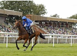 Star of Mystery Horse Racing Placepot Tips 1