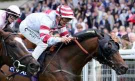 York Each Way Tips Saturday