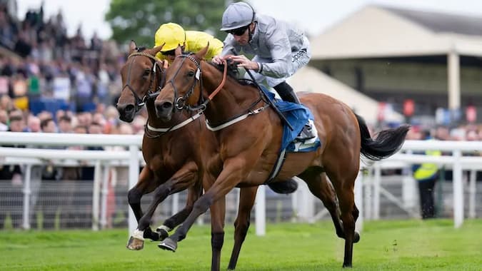 York Lucky 15 Tips On Wednesday