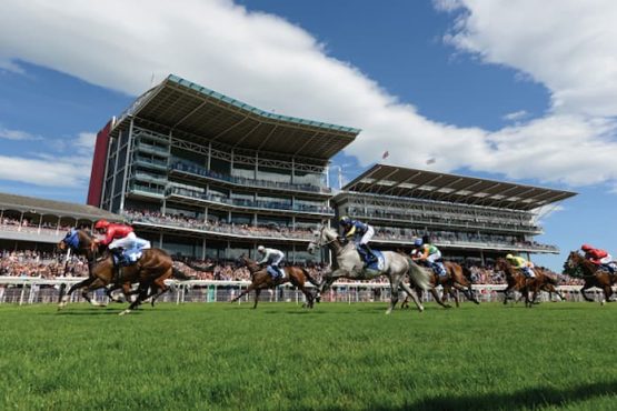 York Races Each-Way Tips