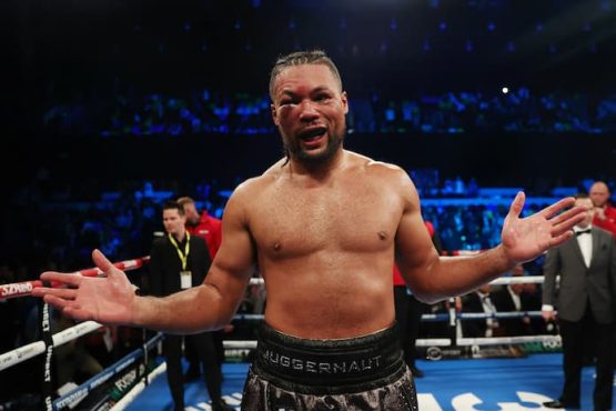 Joe Joyce Boxing 2