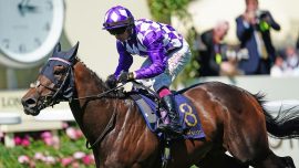 Shaquille heads Haydock Sprint Cup runners