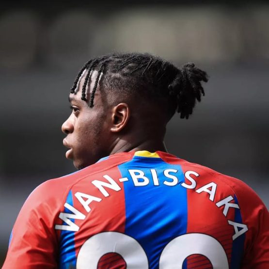 Aaron Wan Bissaka palace