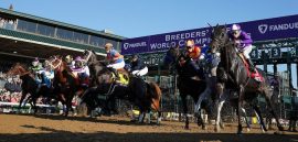 Breeders Cup 11