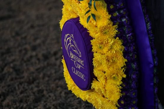 Breeders Cup 14