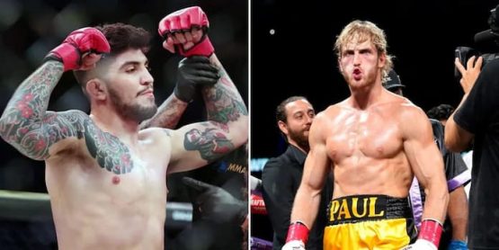 Logan Paul vs Dillon Danis